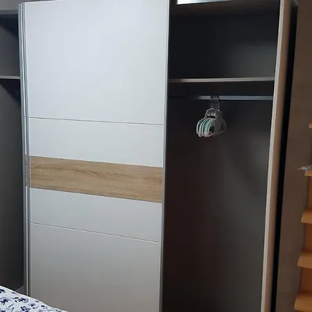 Seehund-lilly * 빌헬름스하펜